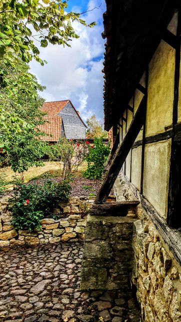 Garten mit Ostmauer