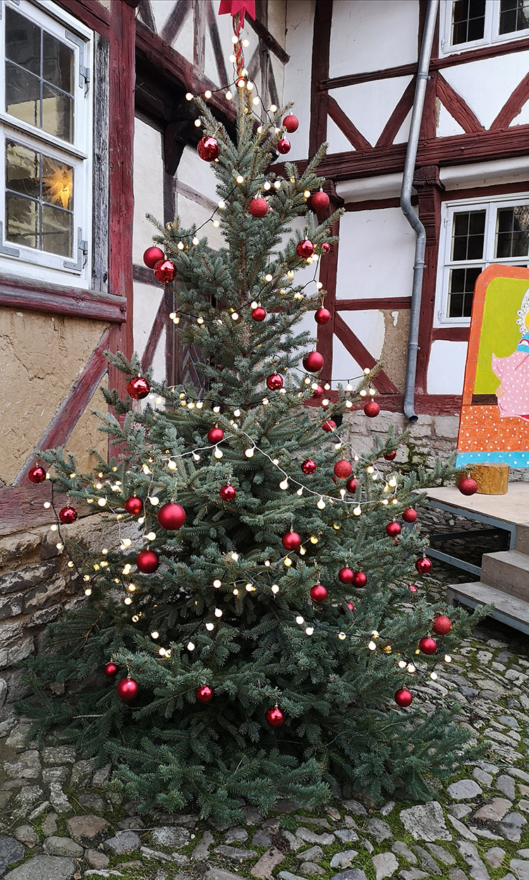 Advent, Schäfers Hof, Ein Weihnachtsbaum gehört dazu